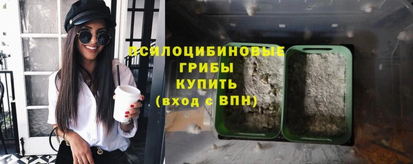 ALPHA PVP Заводоуковск